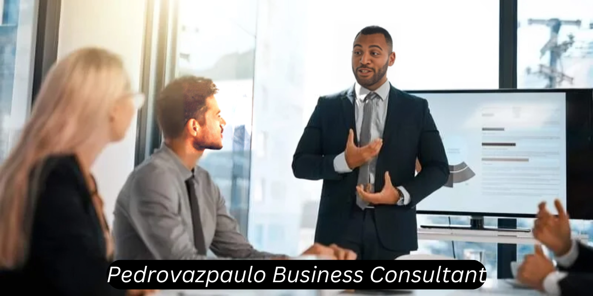 pedrovazpaulo business consultant