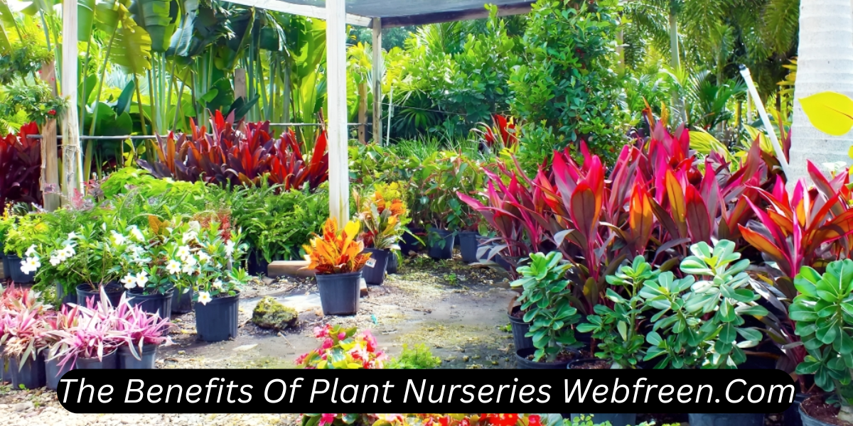 the benefits of plant nurseries webfreen.com