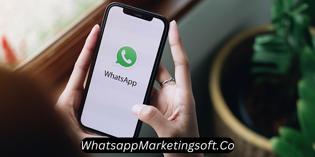 whatsappmarketingsoft.co