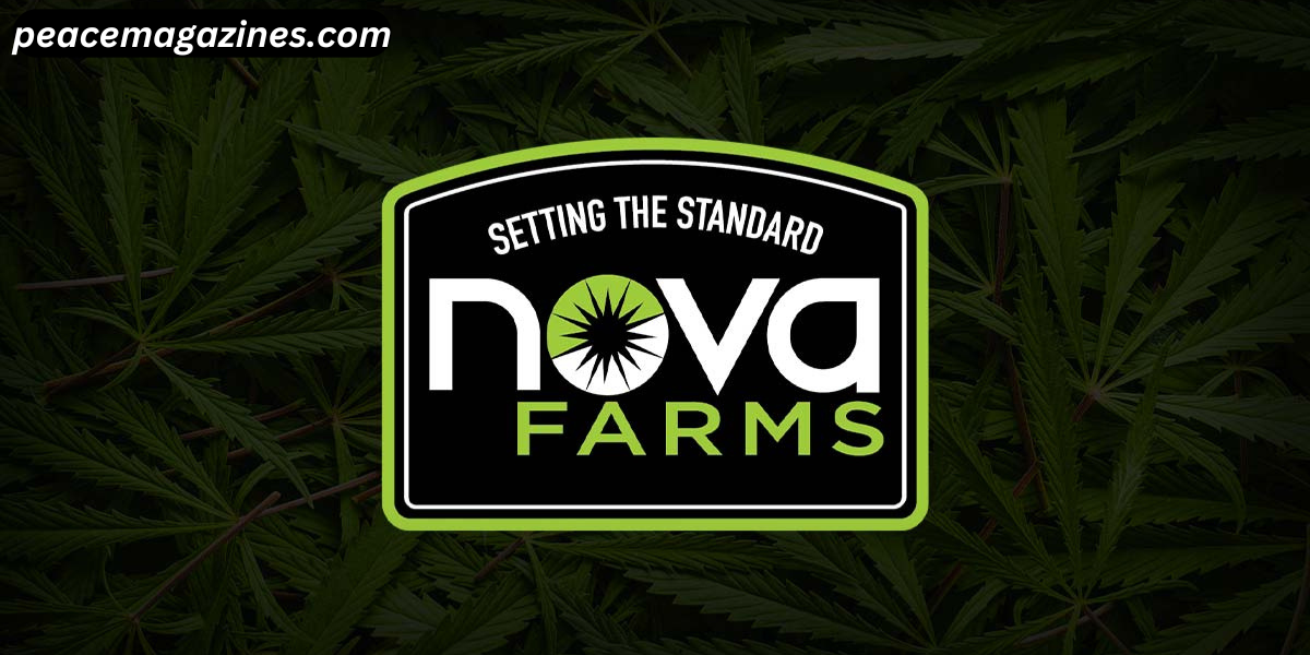 nova farms woodbury