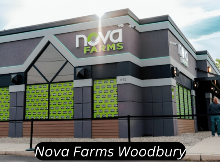 nova farms woodbury